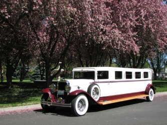 The-Rise-of-the-Limousine