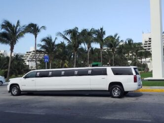Percentage of People Who Use Limousines